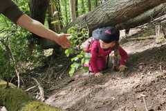 IMG-20250514-WA0053