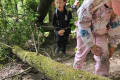 IMG-20250514-WA0054