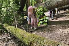 IMG-20250514-WA0056