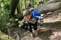 IMG-20250514-WA0057