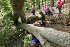 IMG-20250514-WA0058
