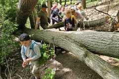 IMG-20250514-WA0059