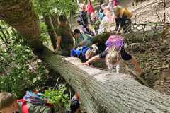 IMG-20250514-WA0061