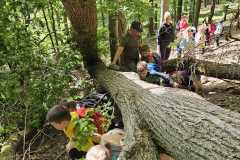 IMG-20250514-WA0063