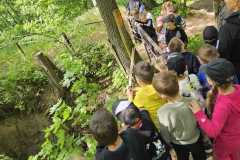 IMG-20250514-WA0067