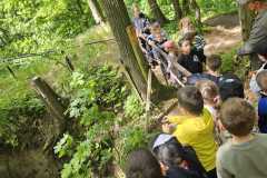 IMG-20250514-WA0068