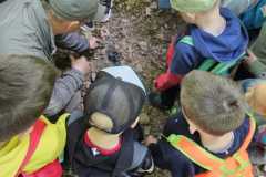 IMG-20250514-WA0081