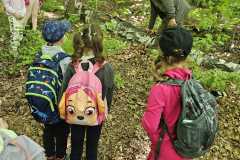IMG-20250514-WA0082