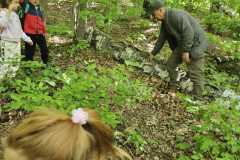 IMG-20250514-WA0086