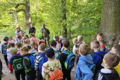 IMG-20250514-WA0095