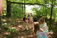 IMG-20250514-WA0153