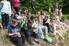 IMG-20250514-WA0159