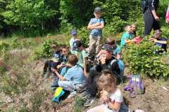 IMG-20250514-WA0161