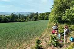 IMG-20250514-WA0163