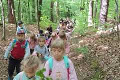 IMG-20250514-WA0173