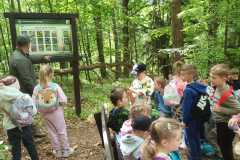 IMG-20250514-WA0176