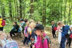 IMG-20250514-WA0177