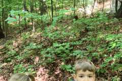 IMG-20250514-WA0178