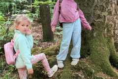 IMG-20250514-WA0179