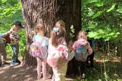 IMG-20250514-WA0184