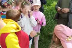 IMG-20250514-WA0185