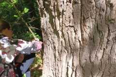 IMG-20250514-WA0189
