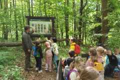 IMG-20250514-WA0190