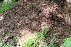 IMG-20250514-WA0191
