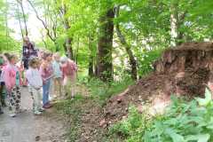 IMG-20250514-WA0193